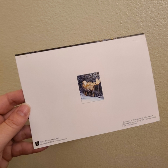 20 Moose Christmas Cards with box - Picture 11 of 11